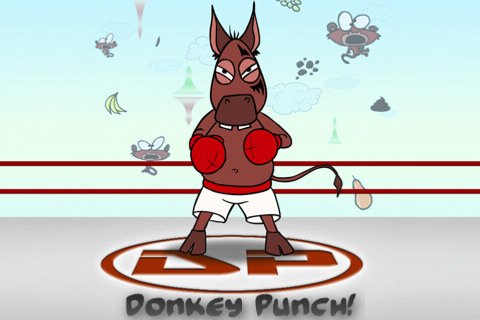 What Does Donkey Punched Mean